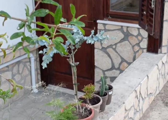 Jamm Mare E Monti Tiny House * אורביץ