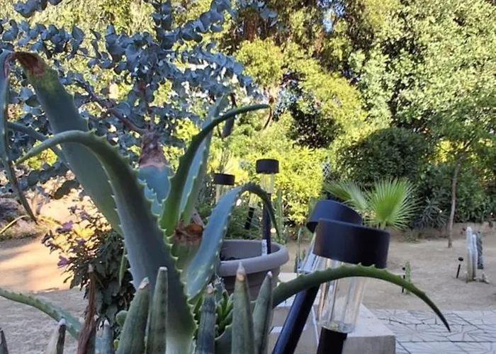 Jamm Mare E Monti Tiny House